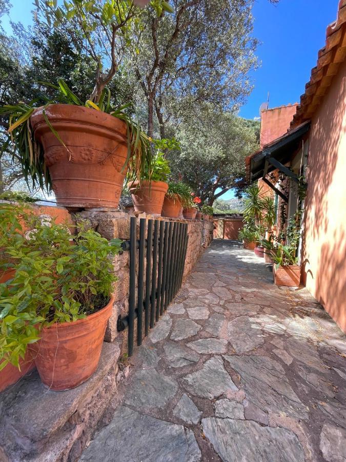 Villa Antonia Calvi  Exterior photo